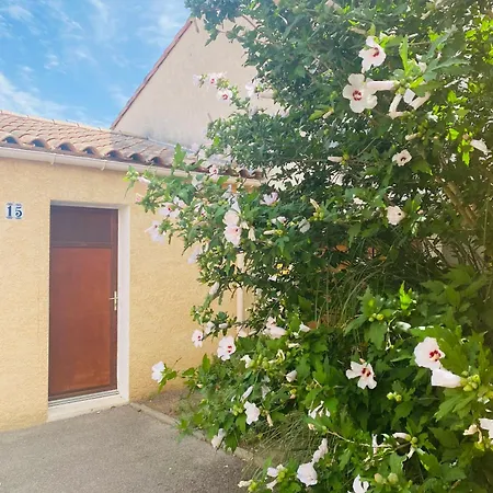 V0736 - - 6 Pers Terrasse Et Parking Prive A 300 M