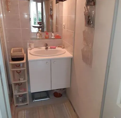 V0736 - - 6 Pers Terrasse Et Parking Prive A 300 M *