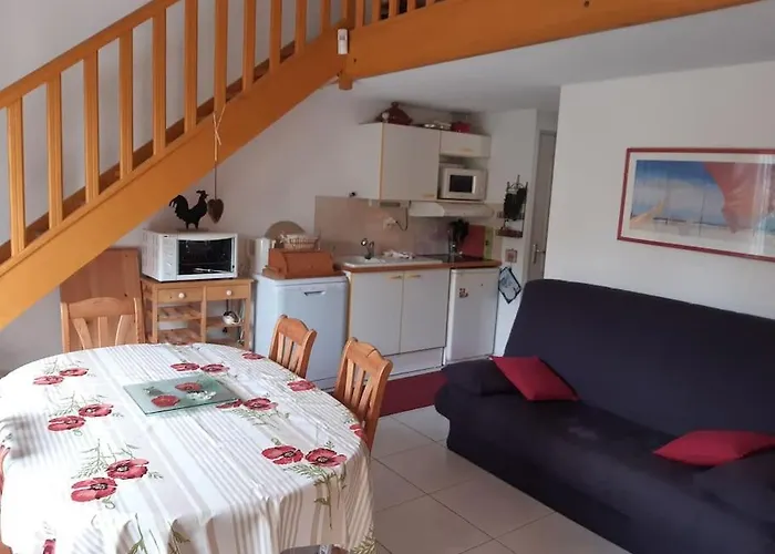 V0736 - - 6 Pers Terrasse Et Parking Prive A 300 M