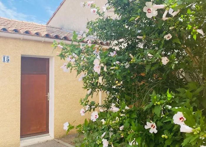 V0736 - - 6 Pers Terrasse Et Parking Prive A 300 M